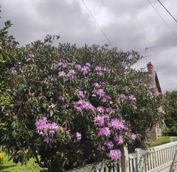 Aamiaismajoitus (B&B) Marianne Cottage Chambre D Hotes