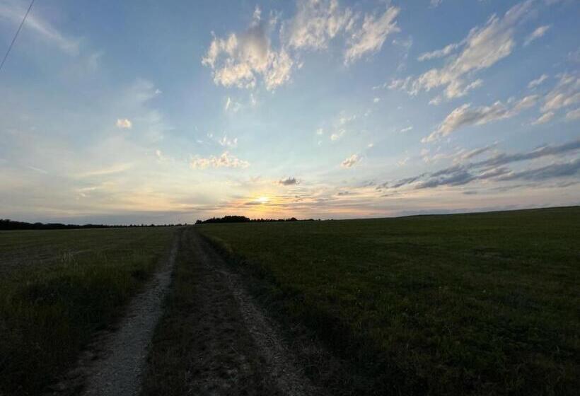 Bed and Breakfast 1,5 Zimmer Mit Duschbad, Gartenblick, Kühlschrank