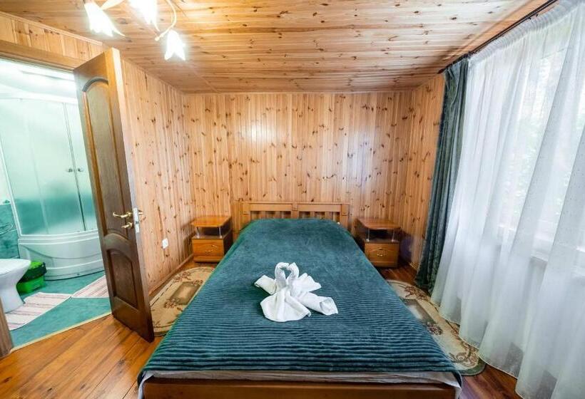 Hotel сосновий бір