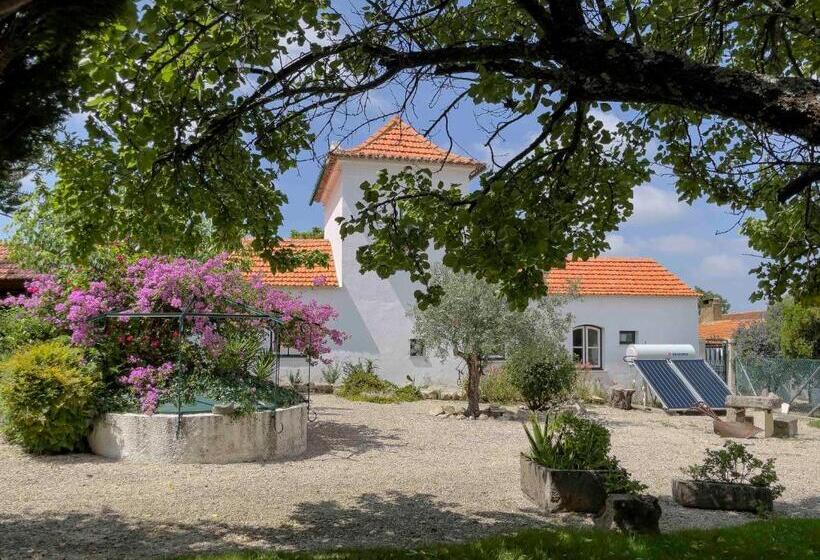 호텔 Casa Luis Pato