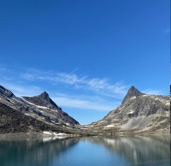 酒店 Tyinholmen Høyfjellsstuer