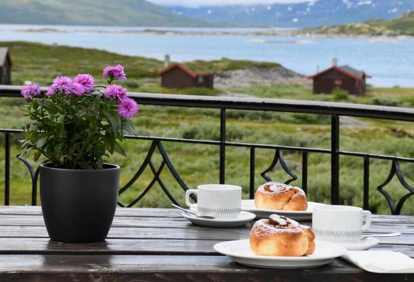 酒店 Tyinholmen Høyfjellsstuer