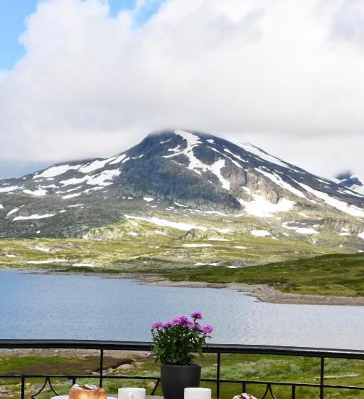 酒店 Tyinholmen Høyfjellsstuer