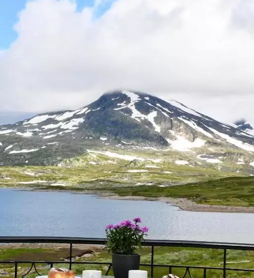 Hotelli Tyinholmen Høyfjellsstuer