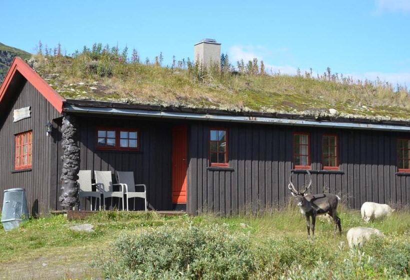 酒店 Tyinholmen Høyfjellsstuer