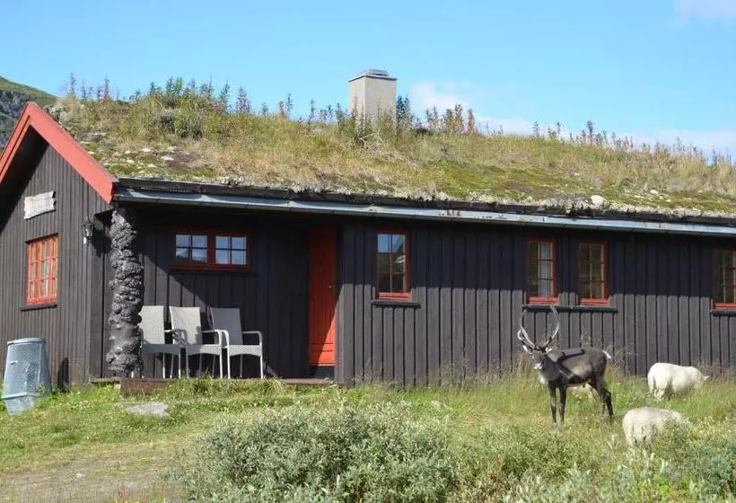 Hotelli Tyinholmen Høyfjellsstuer