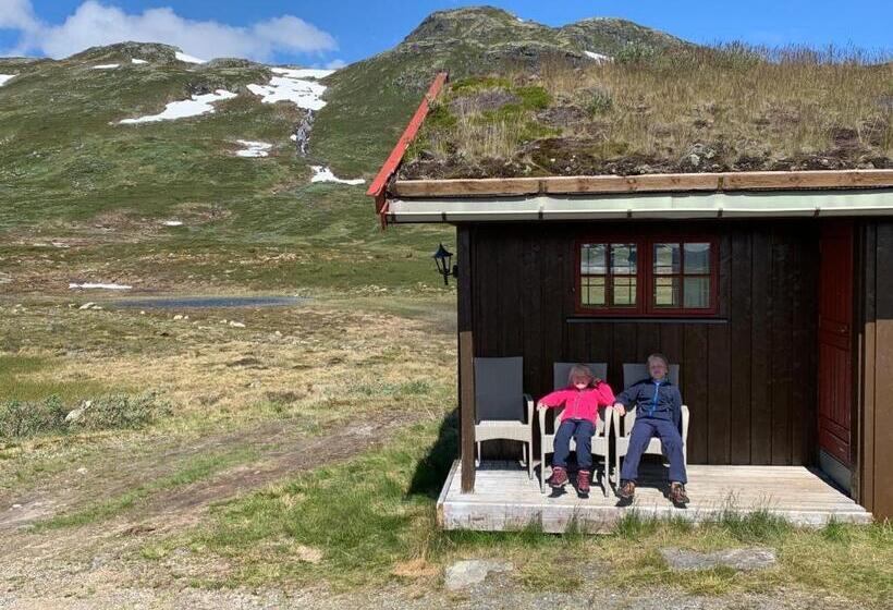酒店 Tyinholmen Høyfjellsstuer