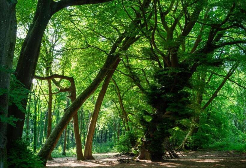 بنسيون Arundel Comfort En Suite Twin Friends & Family