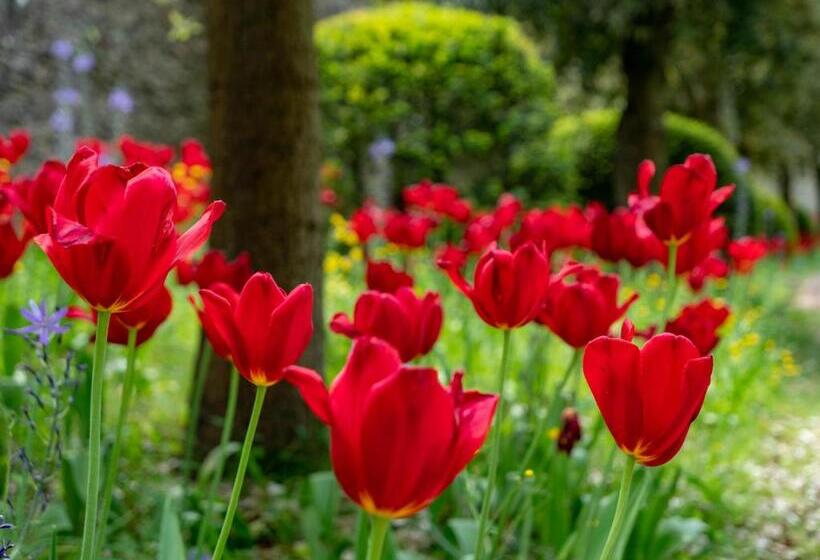 بنسيون Arundel Comfort En Suite Twin Friends & Family