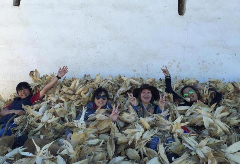 Bed & Breakfast Courtyard Shangri La 藏舍小院