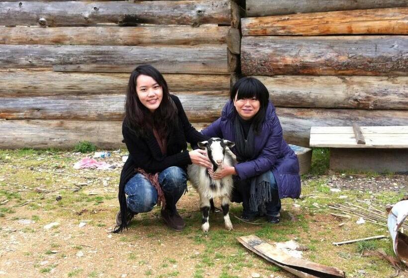 Bed & Breakfast Courtyard Shangri La 藏舍小院