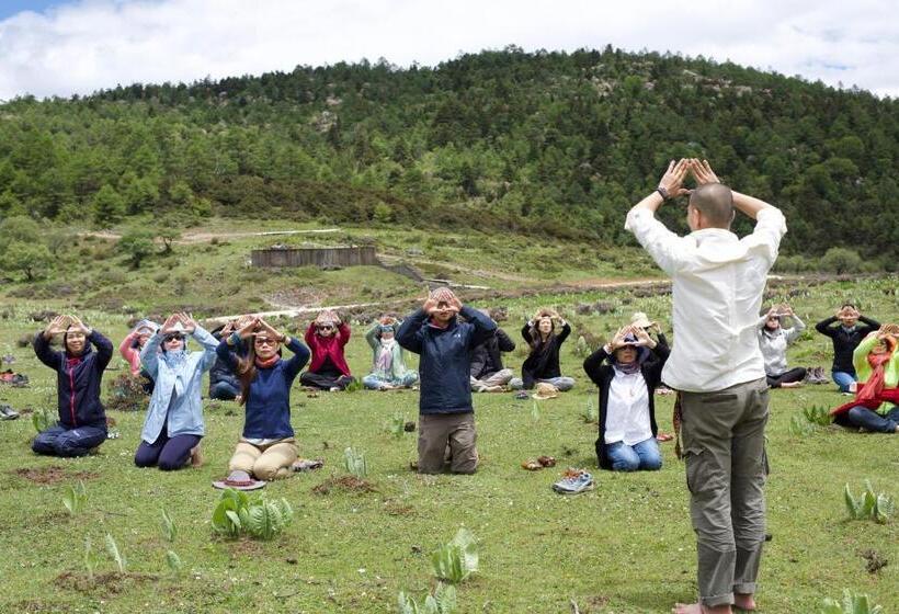 Bed & Breakfast Courtyard Shangri La 藏舍小院