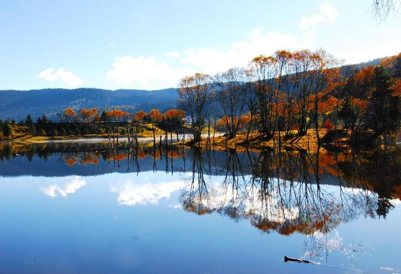 Bed & Breakfast Courtyard Shangri La 藏舍小院