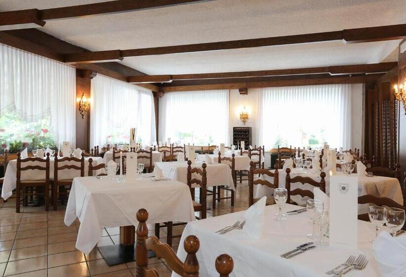 Отель Olympic Turismo Antico Borgo