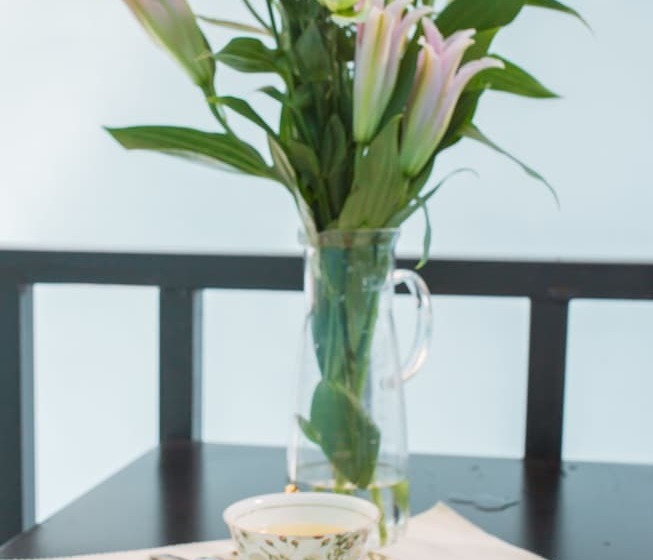 Chengdu Nova Traveller S Youth Hostel