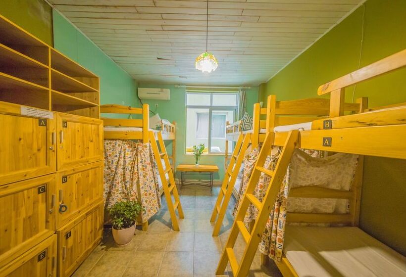 Chengdu Nova Traveller S Youth Hostel