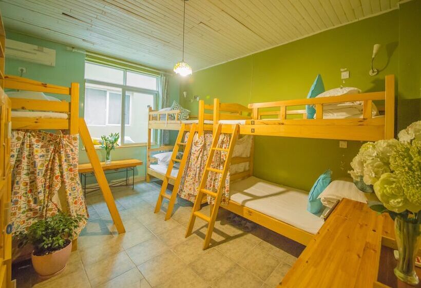 Chengdu Nova Traveller S Youth Hostel