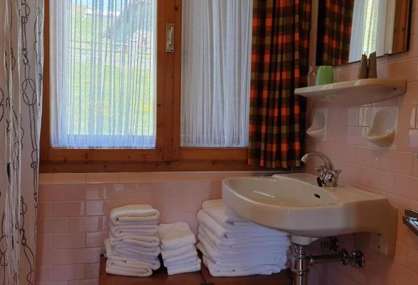 هتل Alpino Lodge Bivio