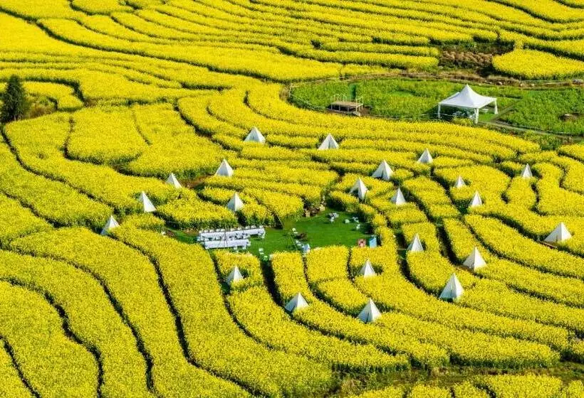 リゾートホテル Banyan Tree Tengchong