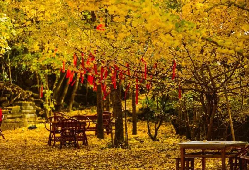 リゾートホテル Banyan Tree Tengchong
