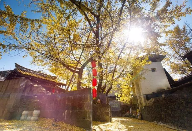 リゾートホテル Banyan Tree Tengchong