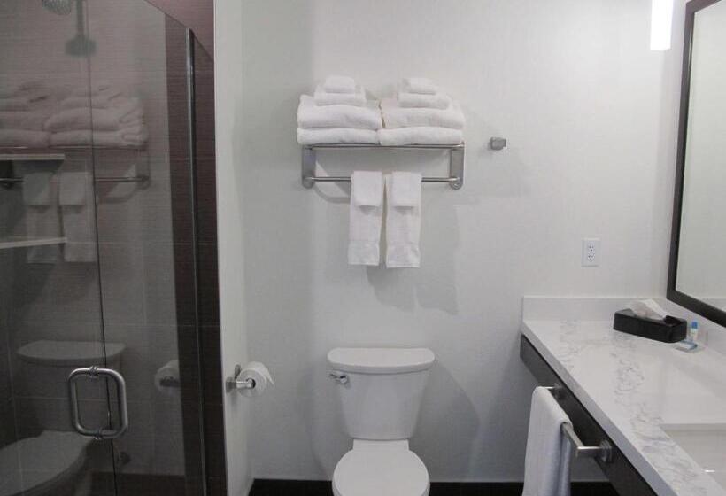 فندق Best Western Plus Peppertree Nampa Civic Center Inn