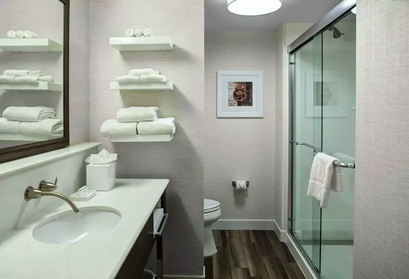 ホテル Hampton Inn & Suites Pittsburg Kansas Crossing