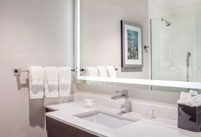 호텔 Hilton Garden Inn Nyc Financial Center/manhattan Downtown