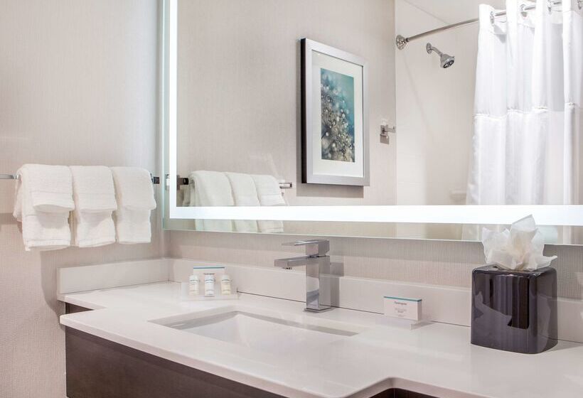 호텔 Hilton Garden Inn Nyc Financial Center/manhattan Downtown