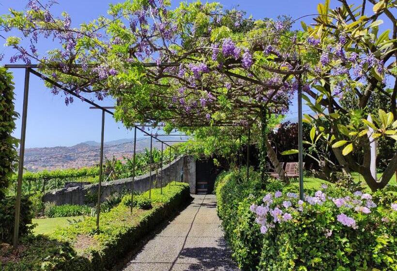 هتل Quinta São Gonçalo