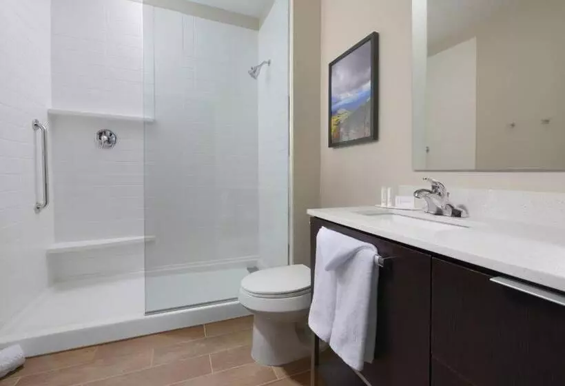 Hotelli Towneplace Suites By Marriott Denver South/lone Tree