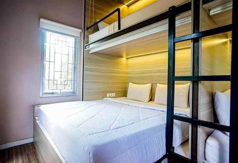 הוסטל Dd Living