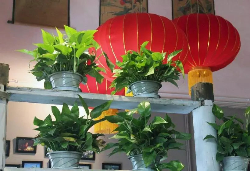 Hotelli Chengdu Mrs Panda Hostel