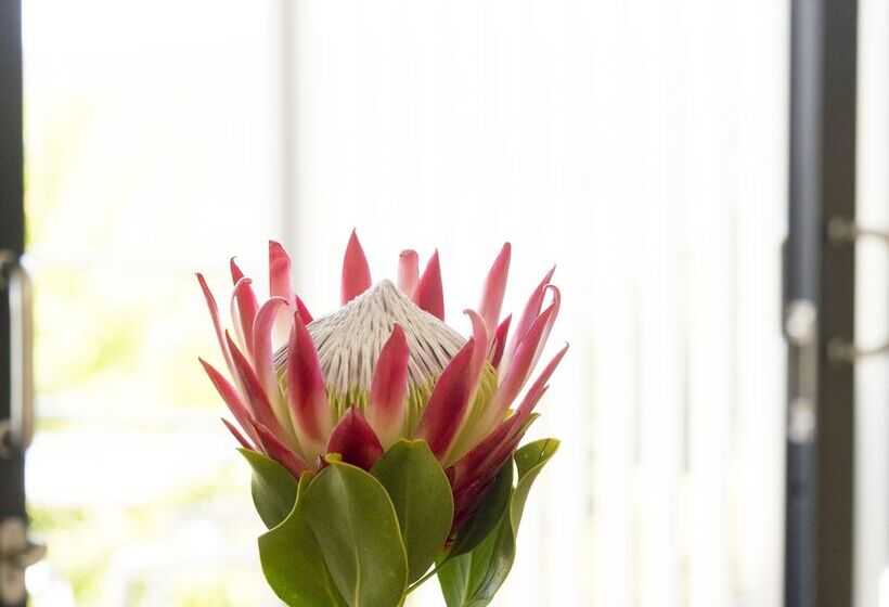 בית מלון כפרי Thebloem Guest Suites By Knysna Paradise Collection