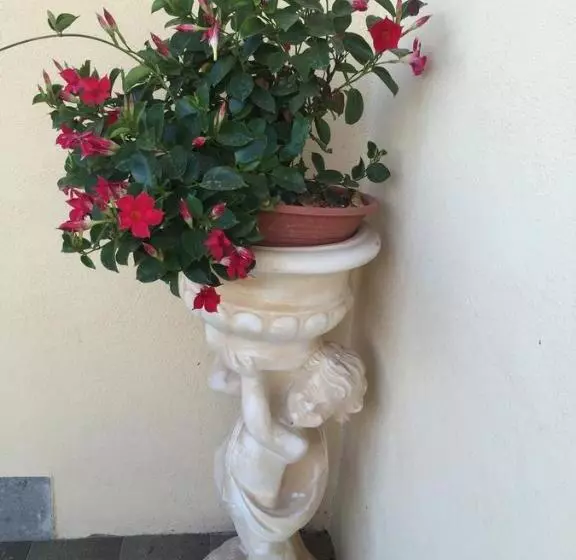 B&b Dolce Casa