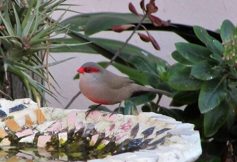 ベッドアンドブレックファースト Squirrels Corner