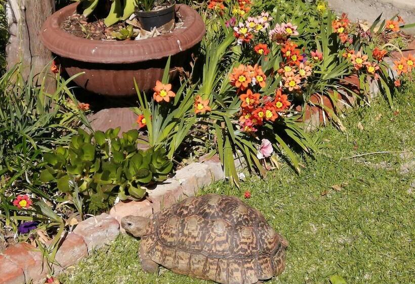 ベッドアンドブレックファースト Squirrels Corner