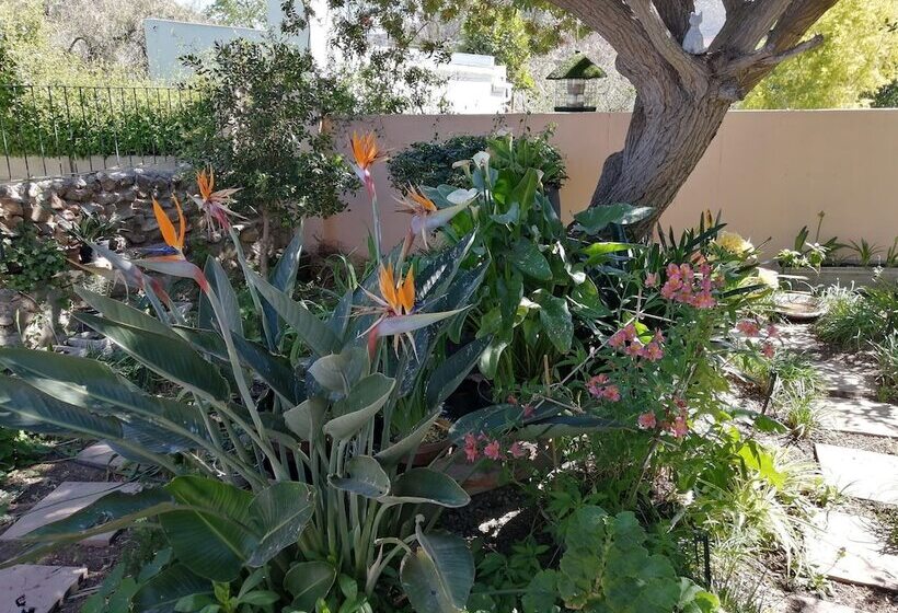 ベッドアンドブレックファースト Squirrels Corner