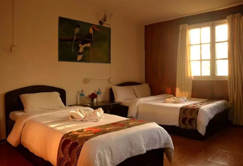 هتل Jungle World Resort