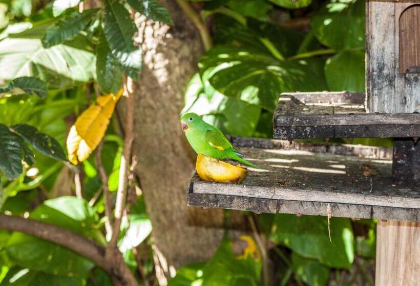 בית מלון כפרי Parque Das Primaveras