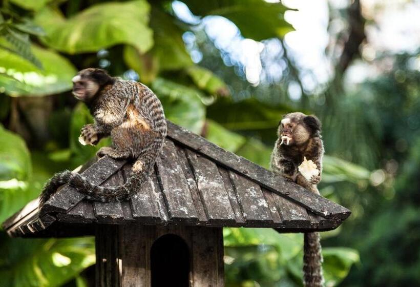 בית מלון כפרי Parque Das Primaveras