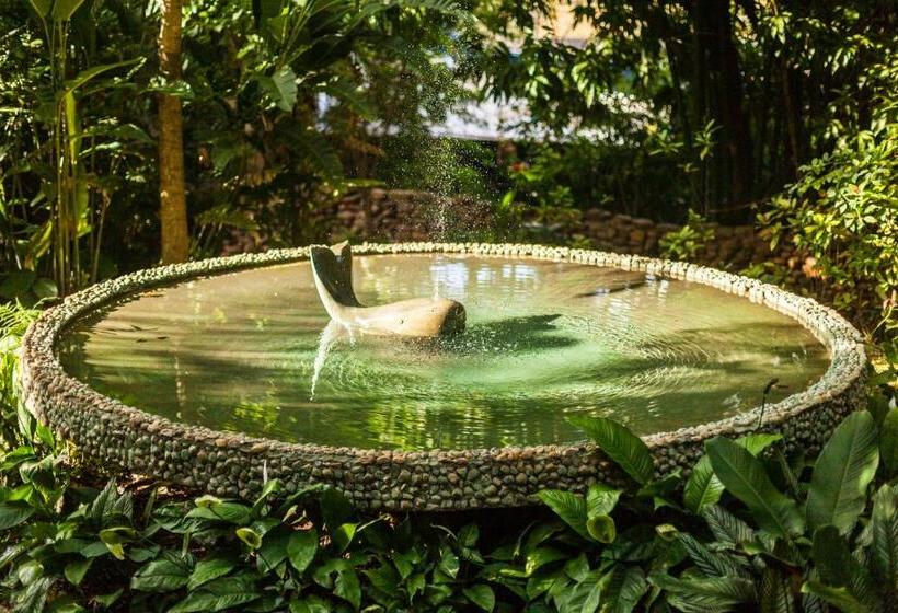 בית מלון כפרי Parque Das Primaveras