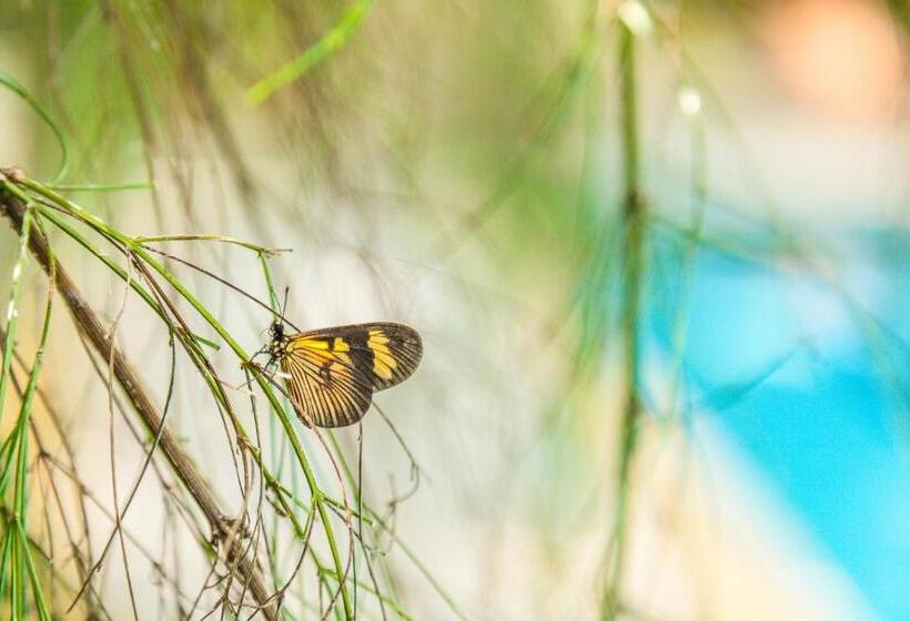 בית מלון כפרי Parque Das Primaveras