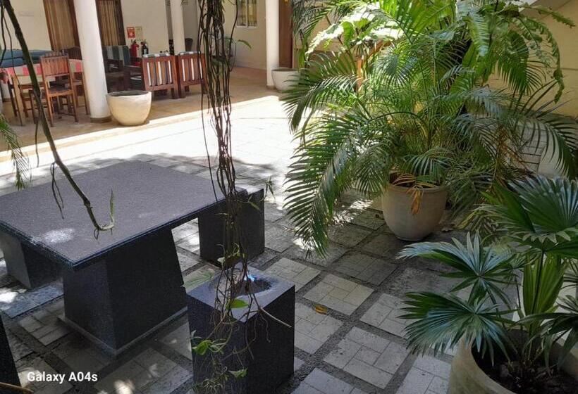 فندق Sea Breeze Guest House