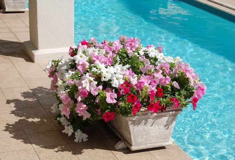 פנסיון Sandals Guest House