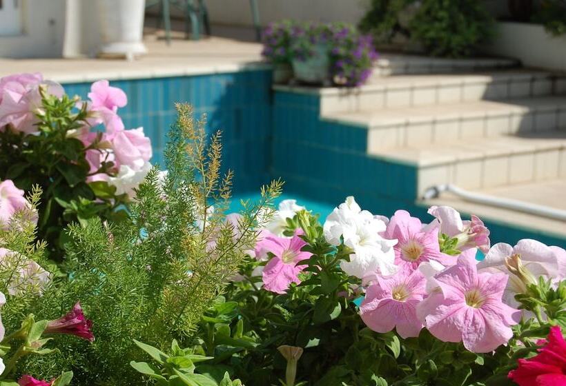 פנסיון Sandals Guest House