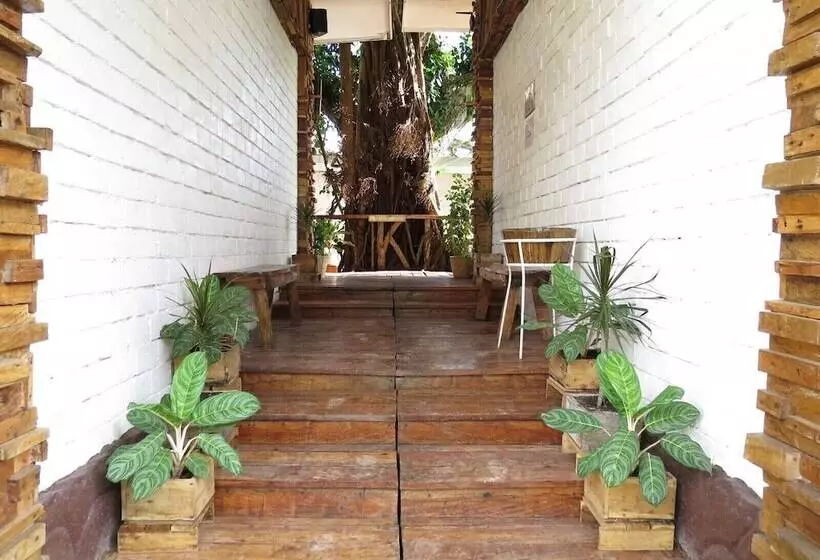Serviced Apartments By Eco Hotel Bohol