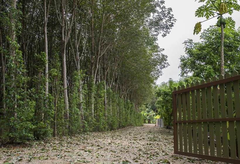 Baan Aree Private Pool