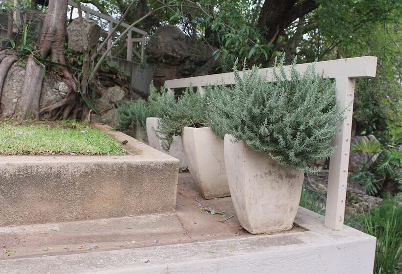 צימר Vineyard On The Hill Guest House