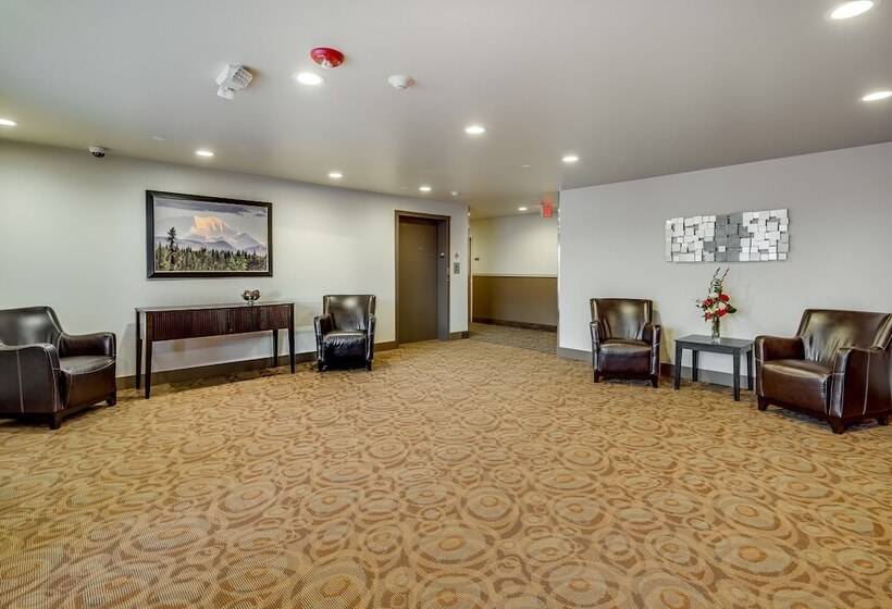 فندق Aptel Studio